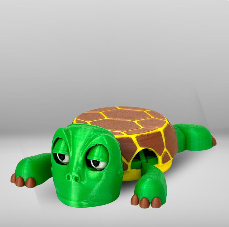 Mr.Turtle