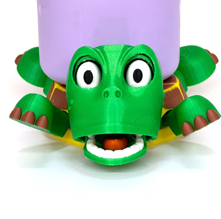 Mr.Turtle