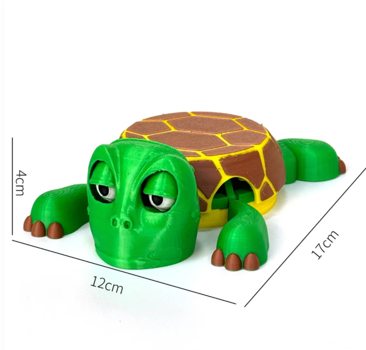 Mr.Turtle